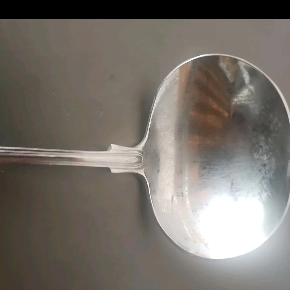 RARE Wallace GRANDE HOTEL Stainless 18/10 Shell Silverware Gravy Ladle spoon